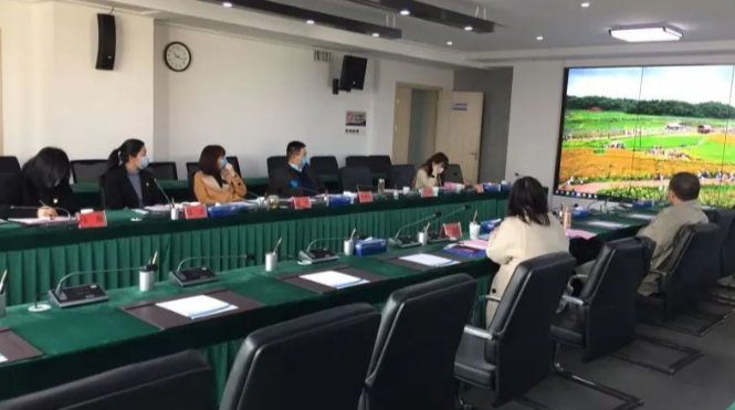 亲身感受新区复工复产氛围 ，她主动上门洽谈想回乡创业
