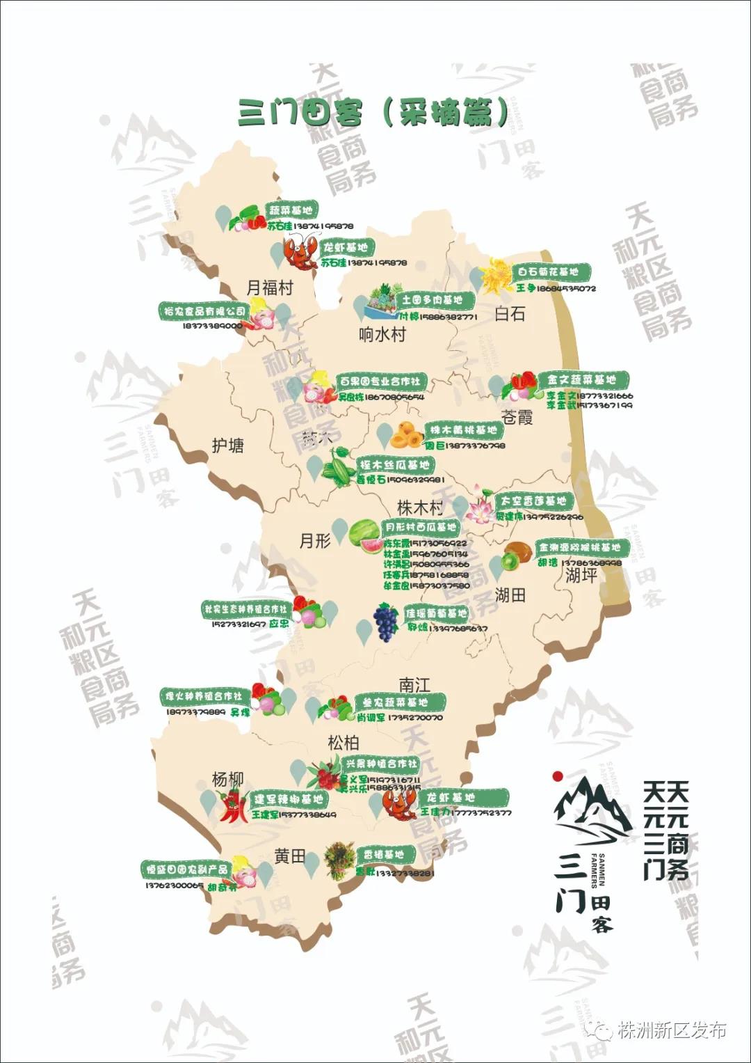 【网约湘游】瓜果飘香季，“三门田客”带您玩转乡村“水果地图”！