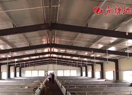 株洲电视台|数字化赋能动物保健行业变革
