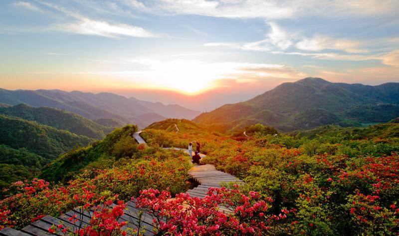 燃烧的大围山
