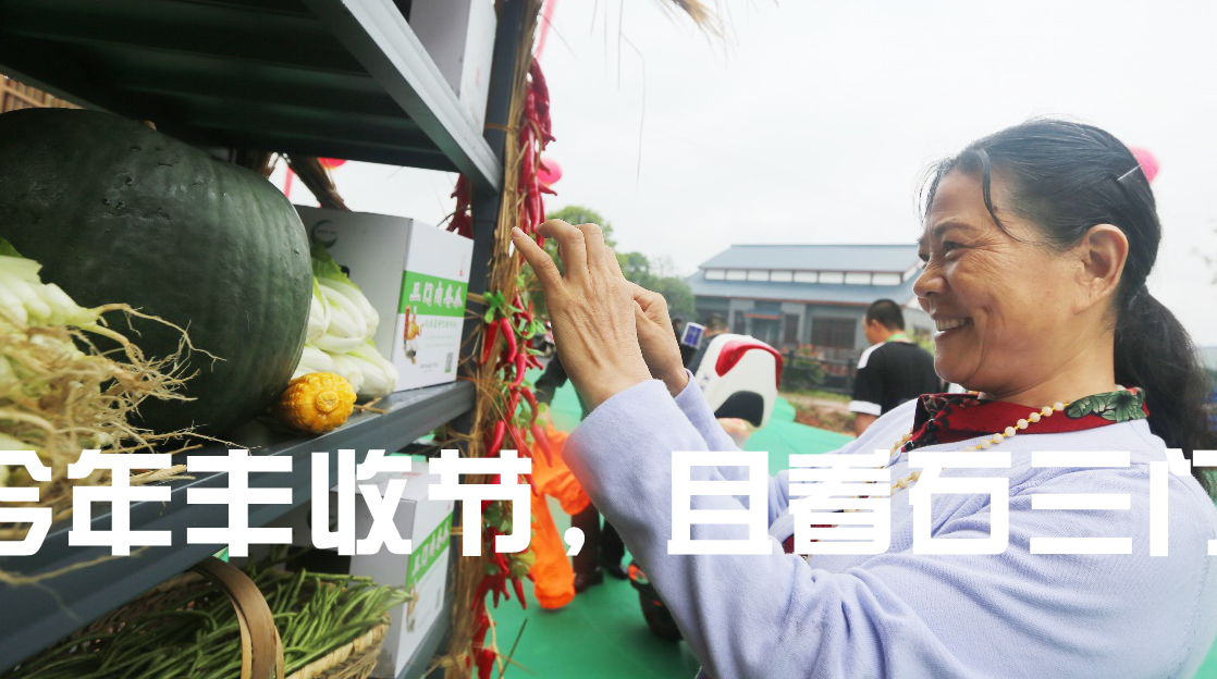 中国农民丰收节 株洲石三门现代农业公园首届农民丰收节开幕