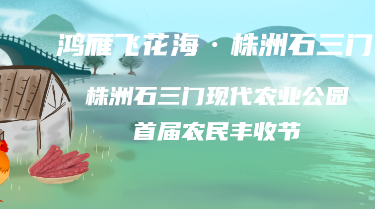 打卡“石三门” 遇见“治愈系”多肉小精灵