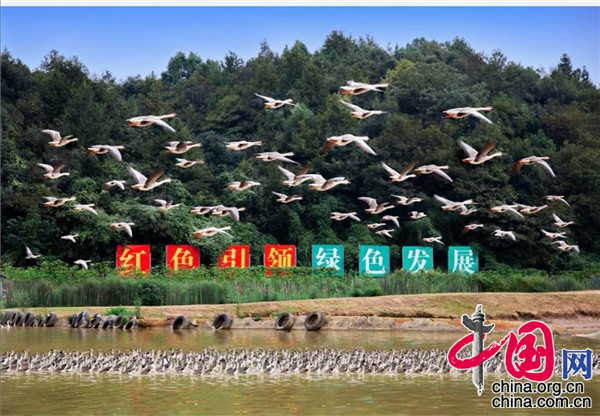 中国网|湖南株洲天元区：金秋一片丰收景 石三门里幸福长