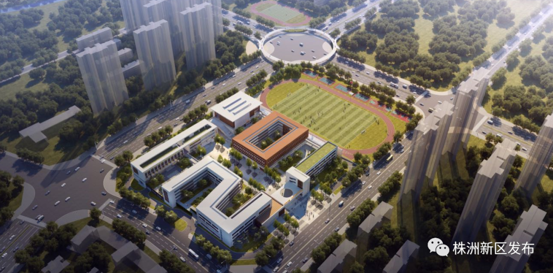 优服务“零收费”，还帮企业找市场！新区“组合拳”营造一流营商环境