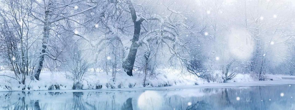 2008年的那一场雪