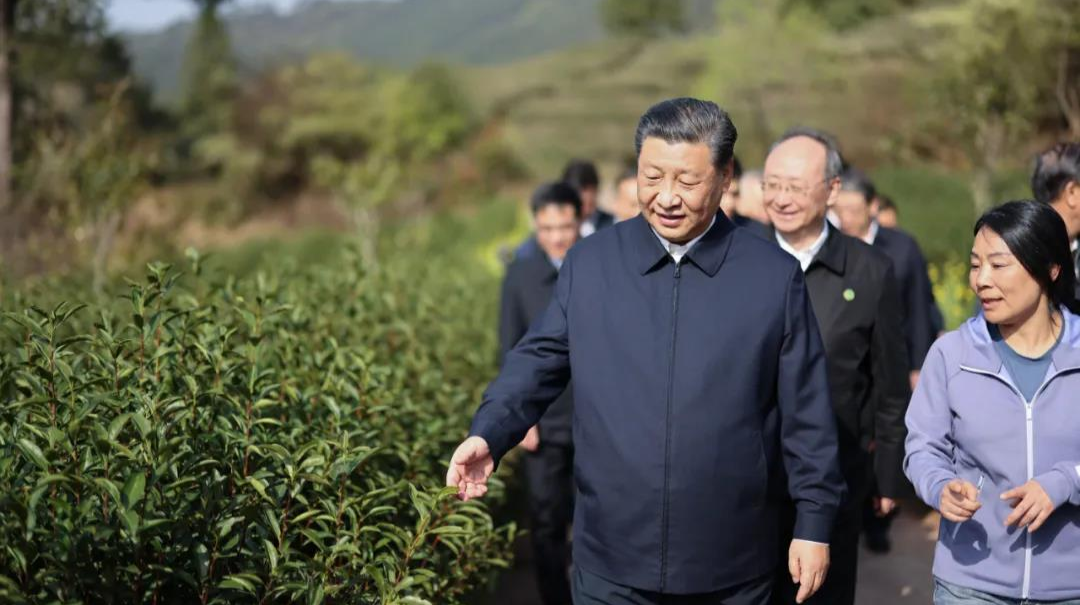 习近平赴福建考察调研
