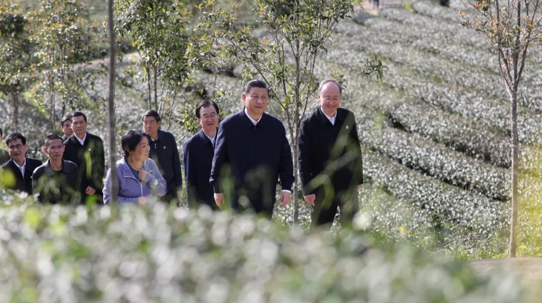 习近平：没有中华五千年文明，哪有我们今天的成功道路