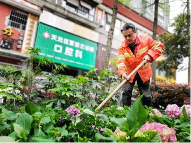 打造示范路游园微景观，提升居民休闲幸福感