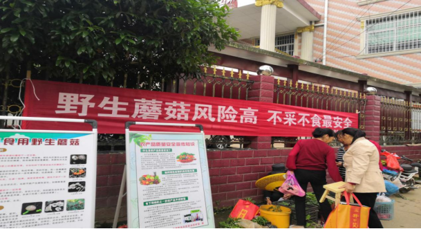 【我为群众办实事】预防野生蘑菇中毒  确保人民群众生命安全