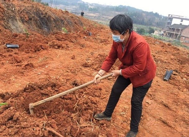 北塔区：18个扶贫产业基地抢先复工复产