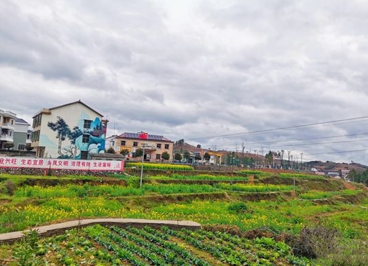 陈家桥乡李子塘村获评“2019年度全省美丽乡村建设示范村”——“四步曲”推进乡村振兴工作纪实