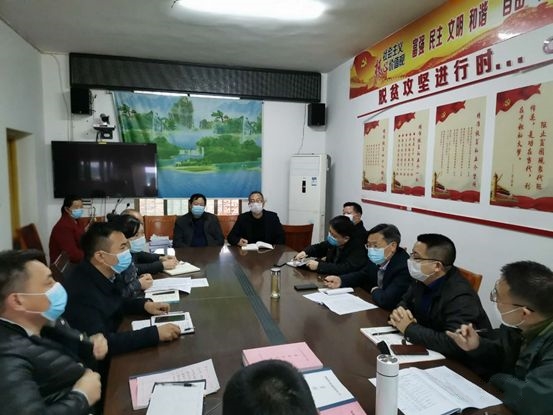 刘贻银深入陈家桥村调研指导疫情防控、脱贫攻坚、美丽乡村建设工作
