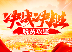 决战决胜脱贫攻坚