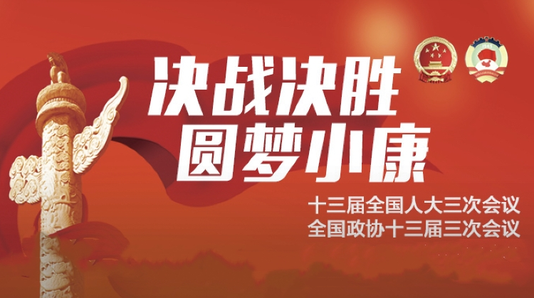 决战决胜  圆梦小康——聚焦2020全国两会