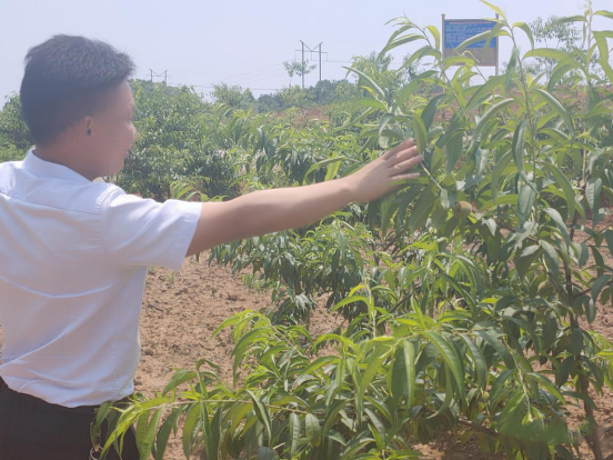 打赢脱贫攻坚战 下足“绣花”功夫
