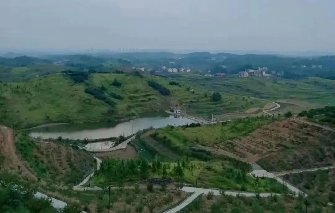 【入村手记】北塔：山不在高，有果则名
