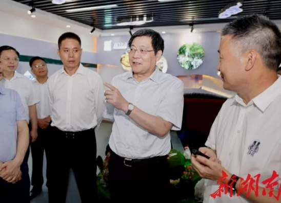 湖南省委书记为何称赞这家企业“六年不见，刮目相看”？