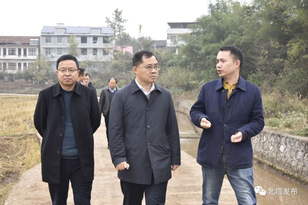 肖平到茶元头街道调研