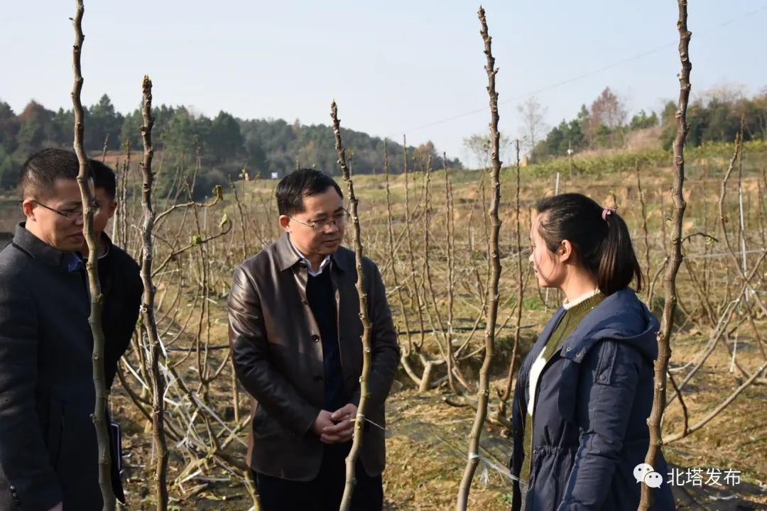 【中国的脱贫智慧】用心用情深入调研  同吃同住同谋发展——肖平在同兴村住村调研侧记