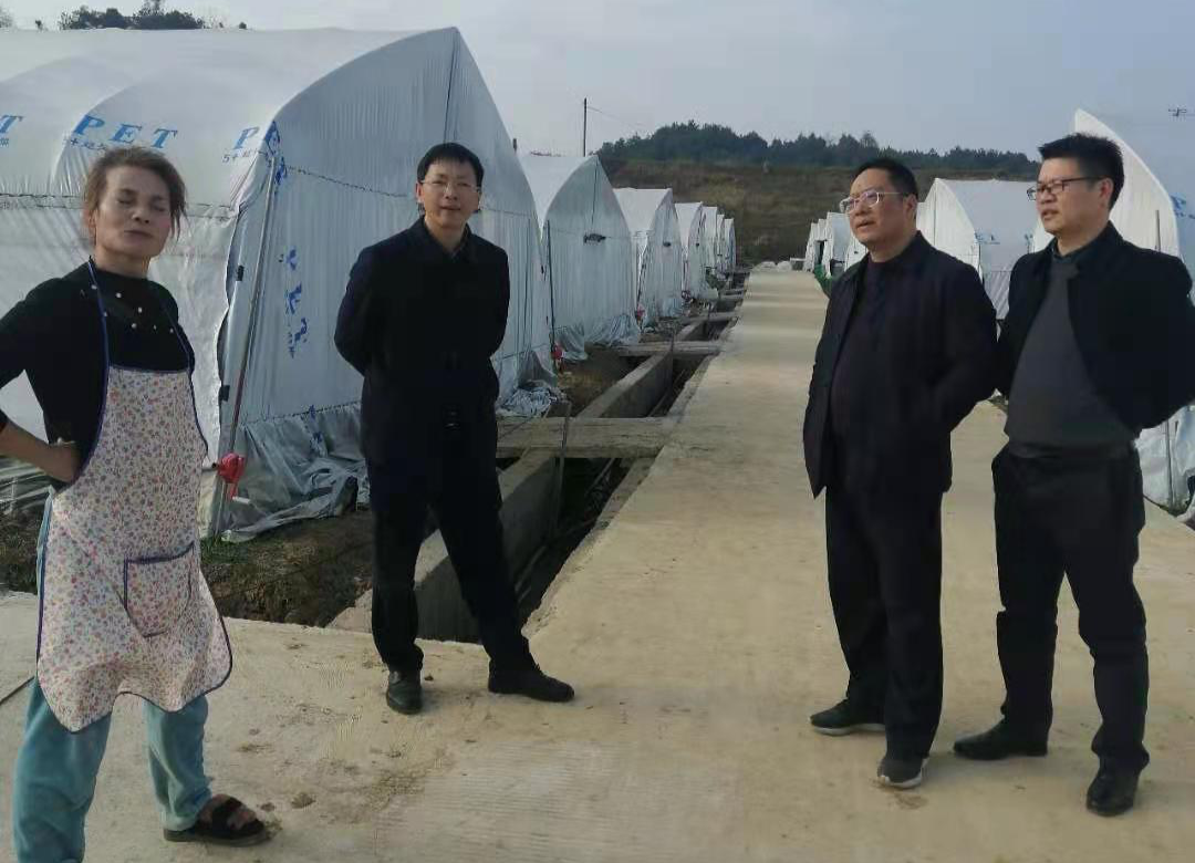 李仁明赴兴旺村调研  ​