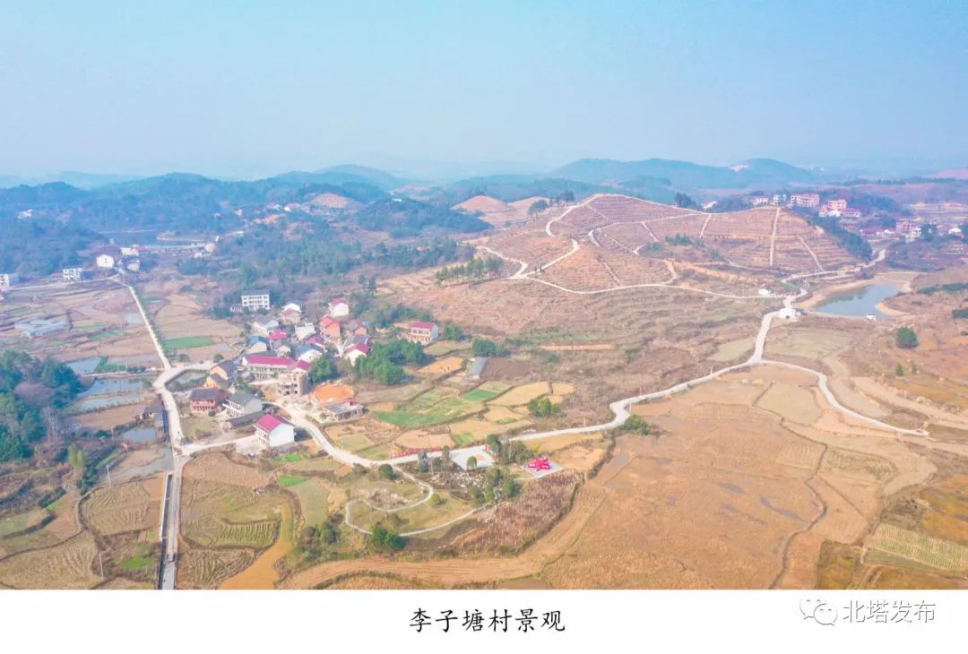光影•李子塘