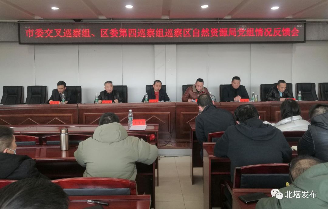 市委交叉巡察组、区委第四巡察组反馈巡察区自然资源局党组情况