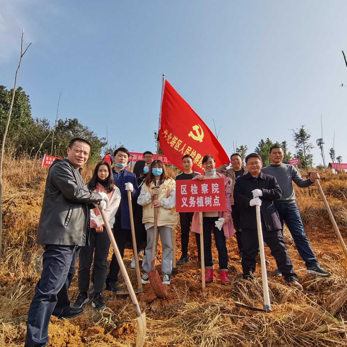 绿美北塔正当时