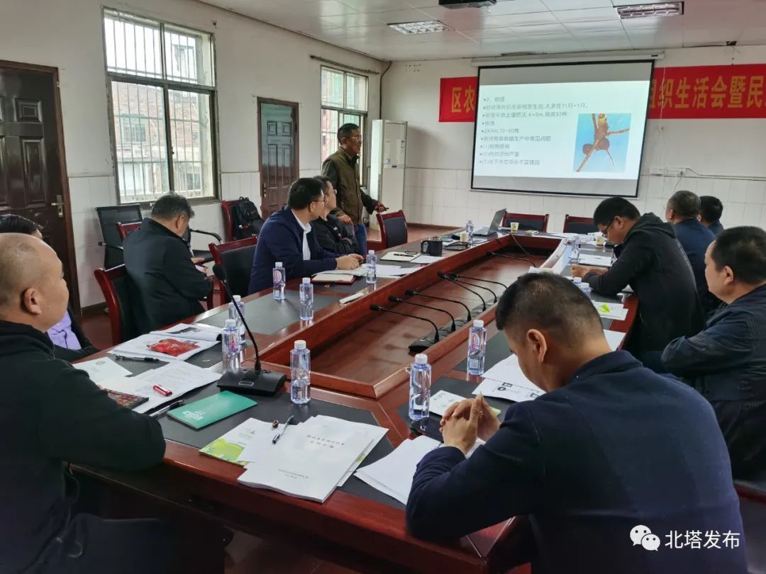 北塔区精品水果产业联合体正式成立