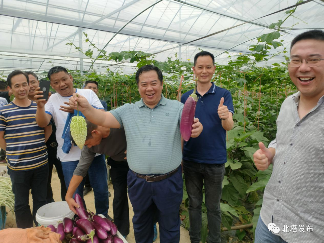 参观考察蔬菜基地促交流 学习借鉴栽培技术打基础