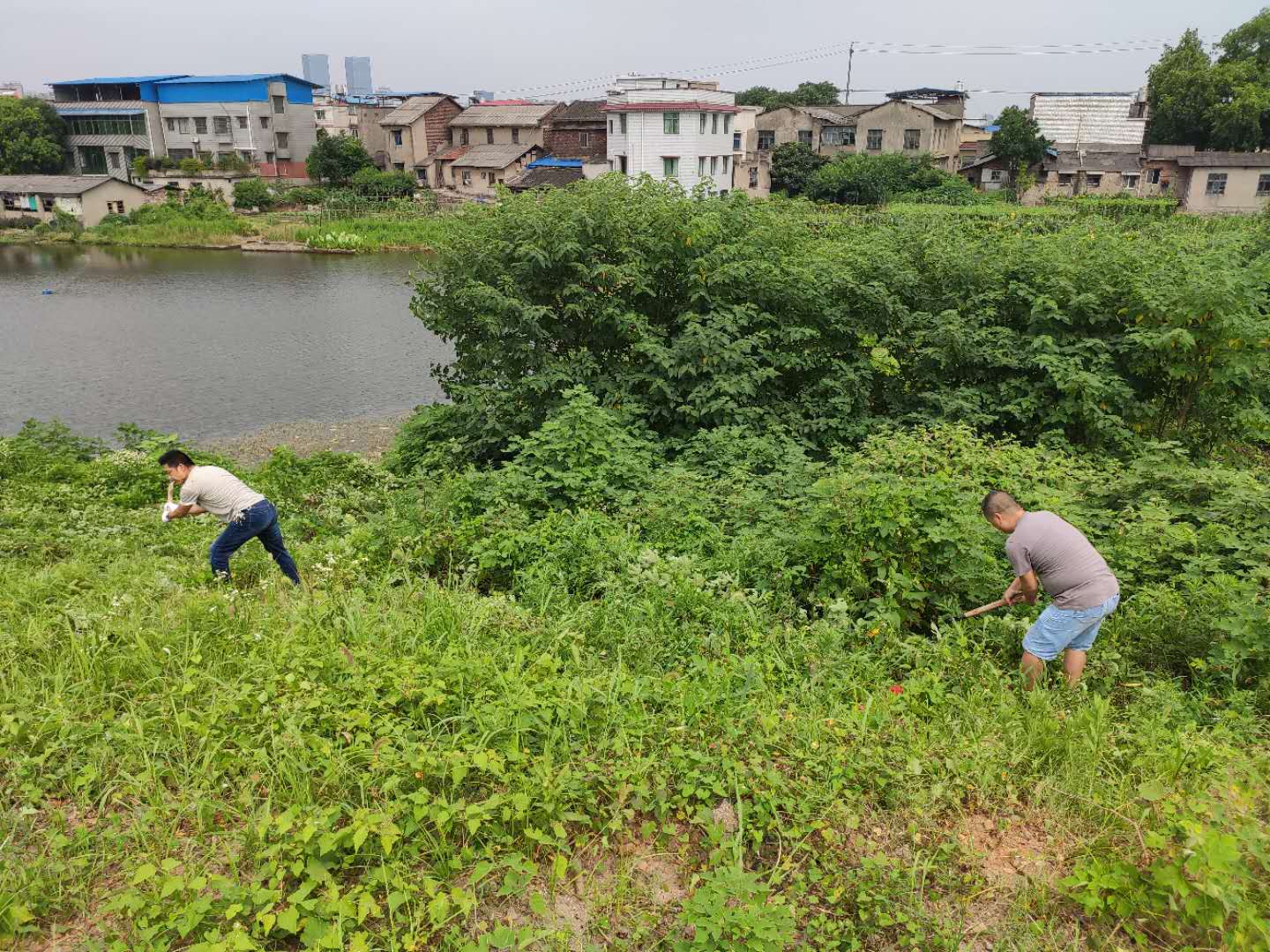 河東大堤事務中心：打造防汛安全通道