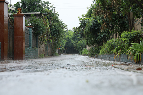 霞城街道下攝司村：從“城中村”到“城中景”