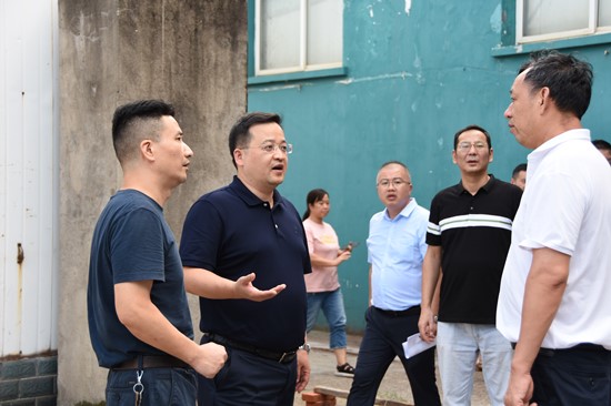 郭勇率队督导创卫工作