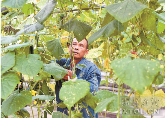 【湘潭日報頭版頭條】岳塘區(qū)穩(wěn)定脫貧有高招