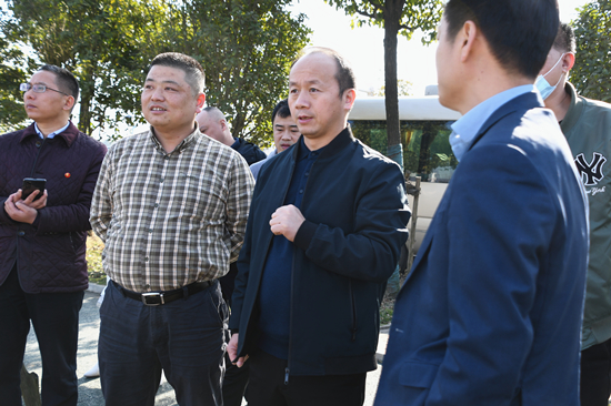 肖定安调研湘潭发展投资有限公司-新闻内容-岳塘新闻网