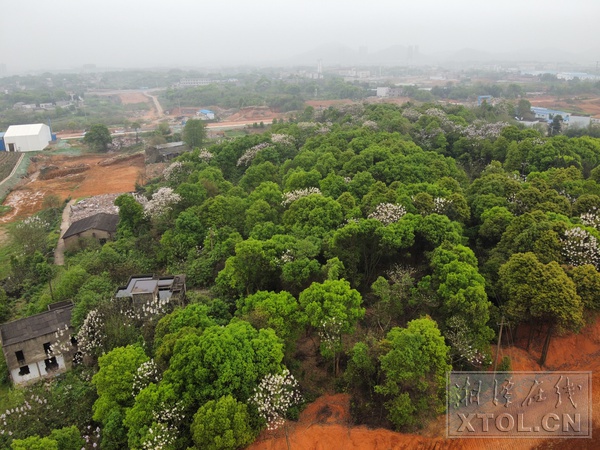 【湘潭日報】易家坪變身后花園