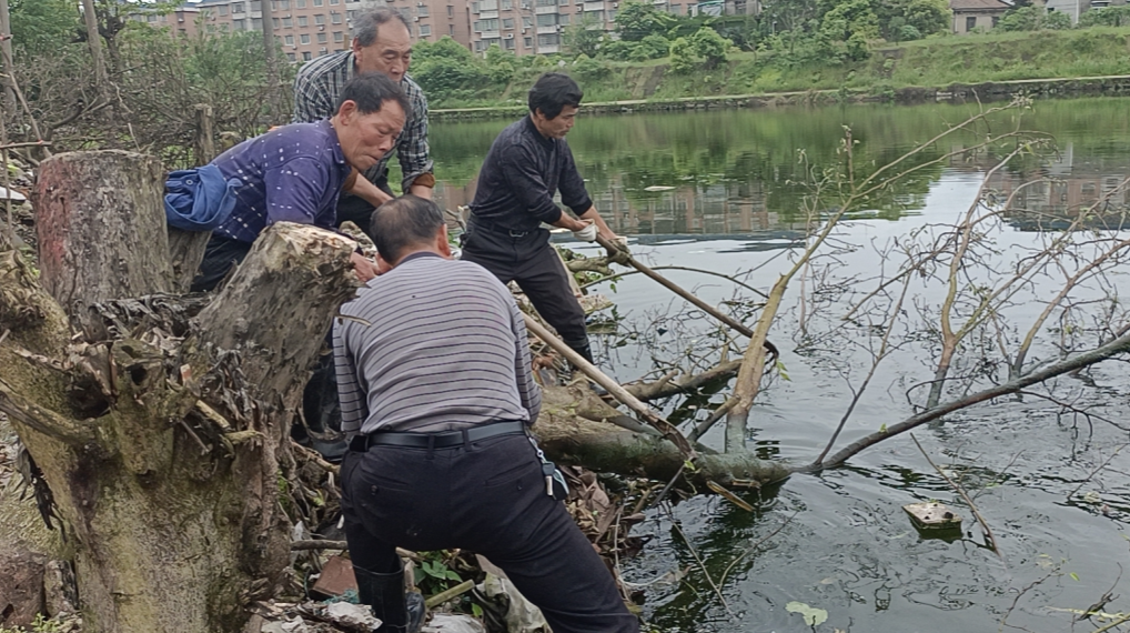 為民辦實(shí)事 下攝司村開(kāi)展池塘治理工作