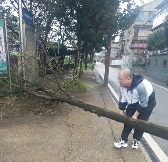 橫街社區(qū)砍伐枯樹 消除安全隱患