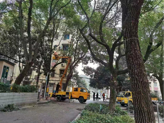 建設(shè)路街道：人大代表心系群眾 為民辦實事