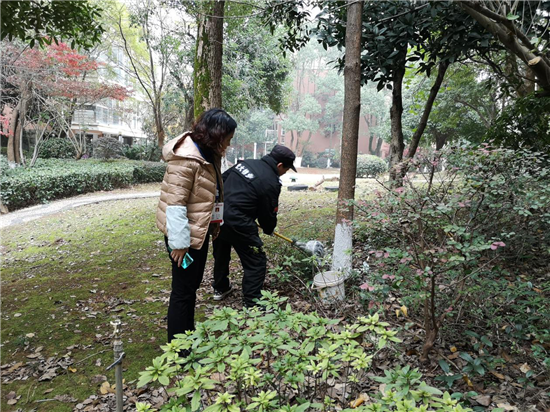 陽光社區(qū)開展冬季樹木涂白養(yǎng)護工作