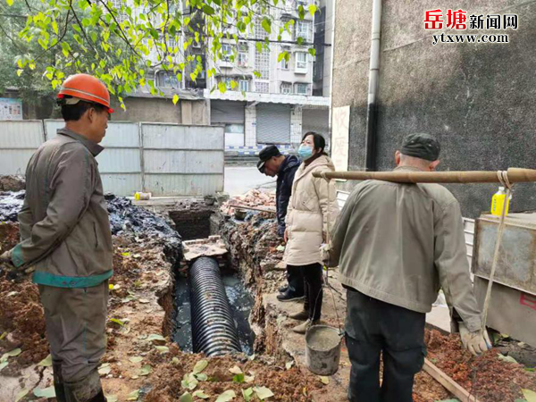 鴉雀塘社區(qū)協(xié)助區(qū)住建局完成燕雀巷下水管道升級改造