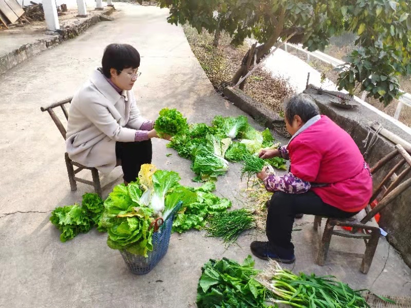 區(qū)城建投：精準(zhǔn)幫扶再發(fā)力