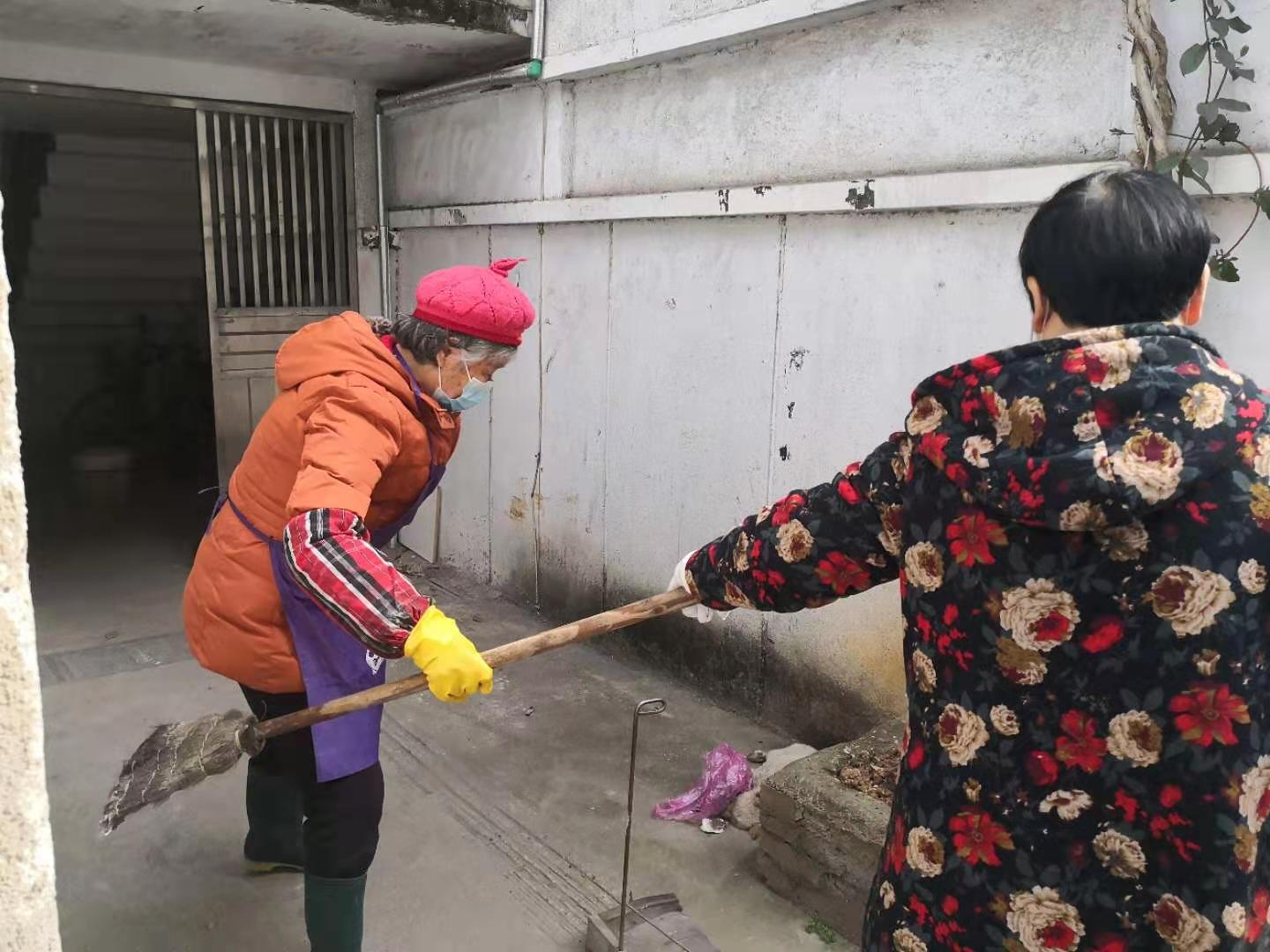 泗神廟社區(qū)攜手物業(yè)處理流浪狗死亡事宜