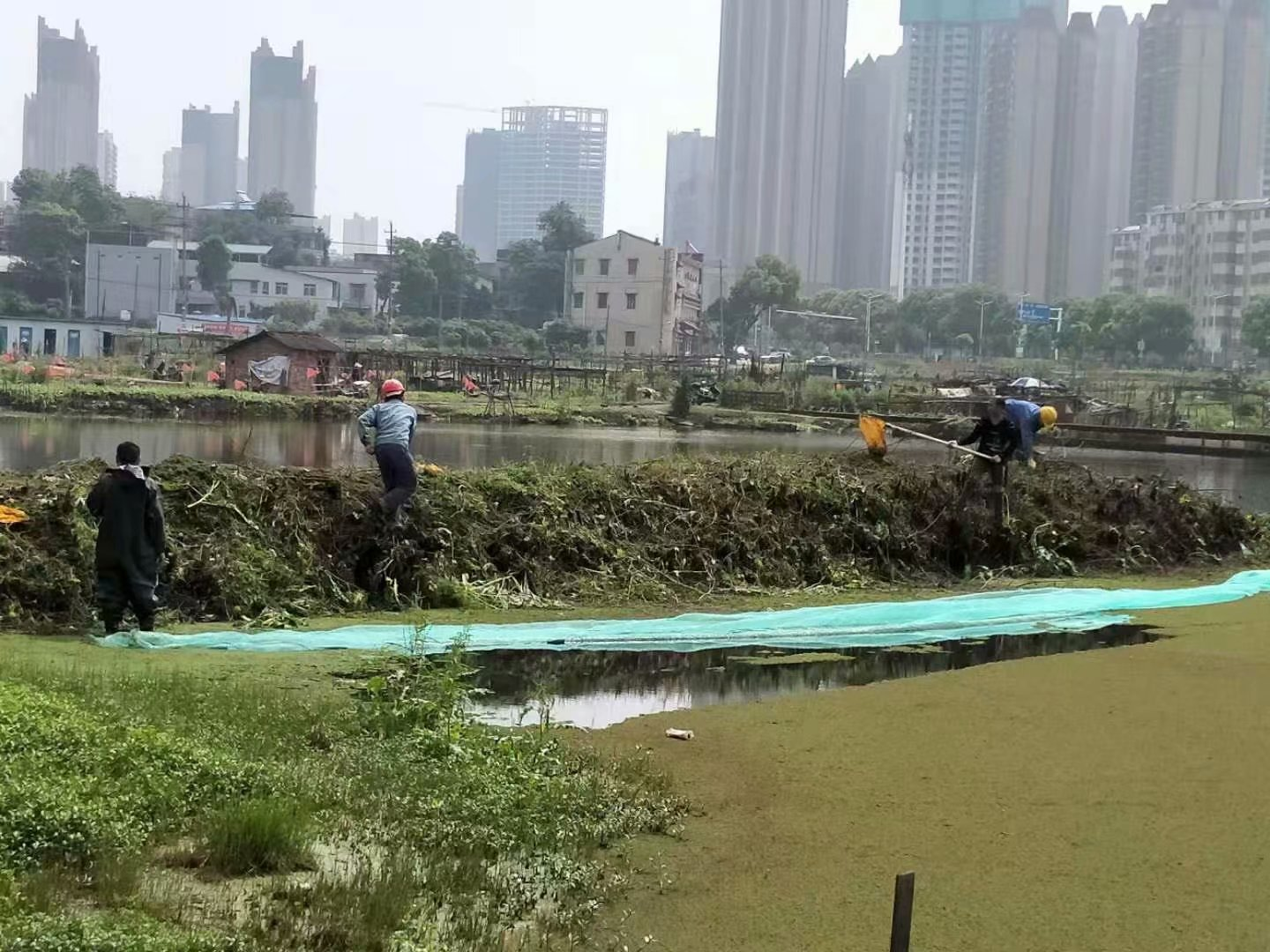 書院路街道：為群眾辦實事 清理池塘保水質(zhì)