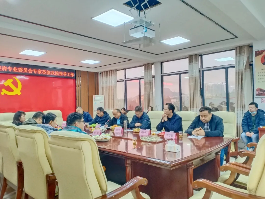 【普惠湘南 益路相伴】汝城县中医医院成功举办郴州地区肾脏风湿病学学术交流会
