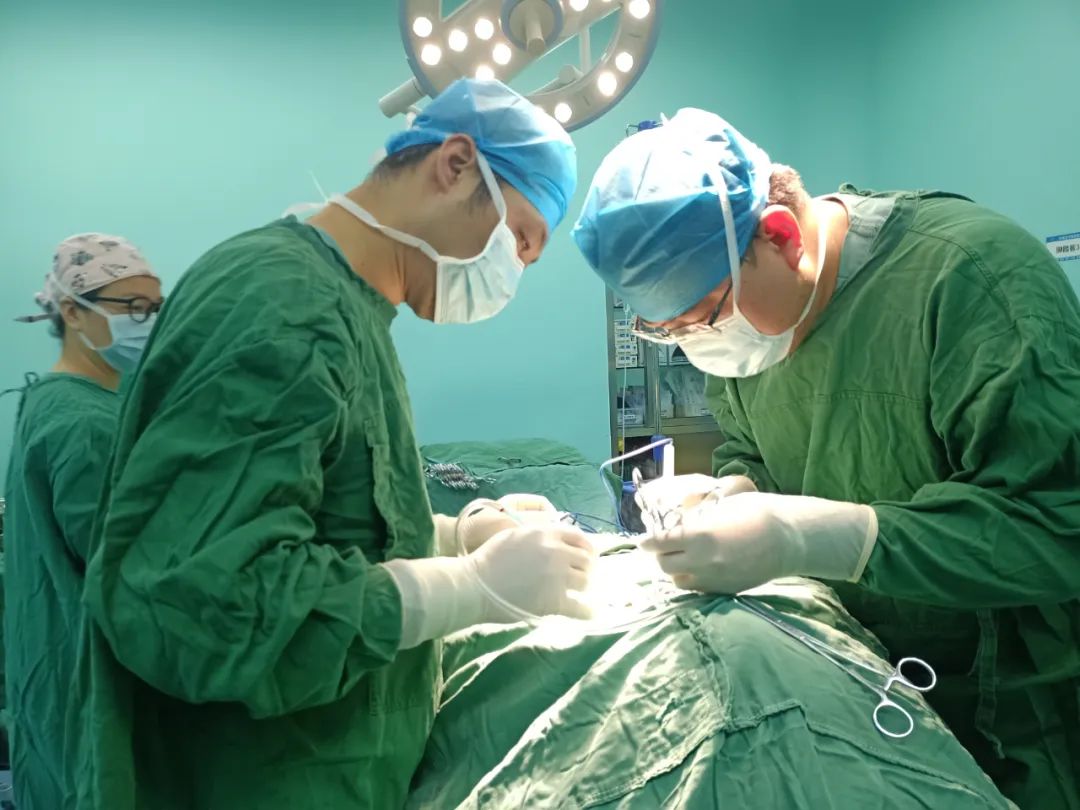 甲状腺疾病“太嚣张”？NO！常态化卸“甲”，为患者解忧