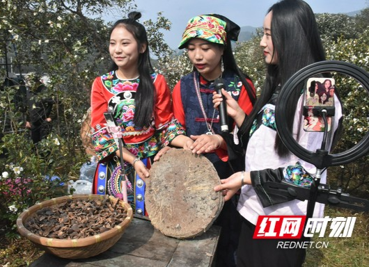 又到油茶飘香时 古丈坪坝镇首届油茶文化节举行