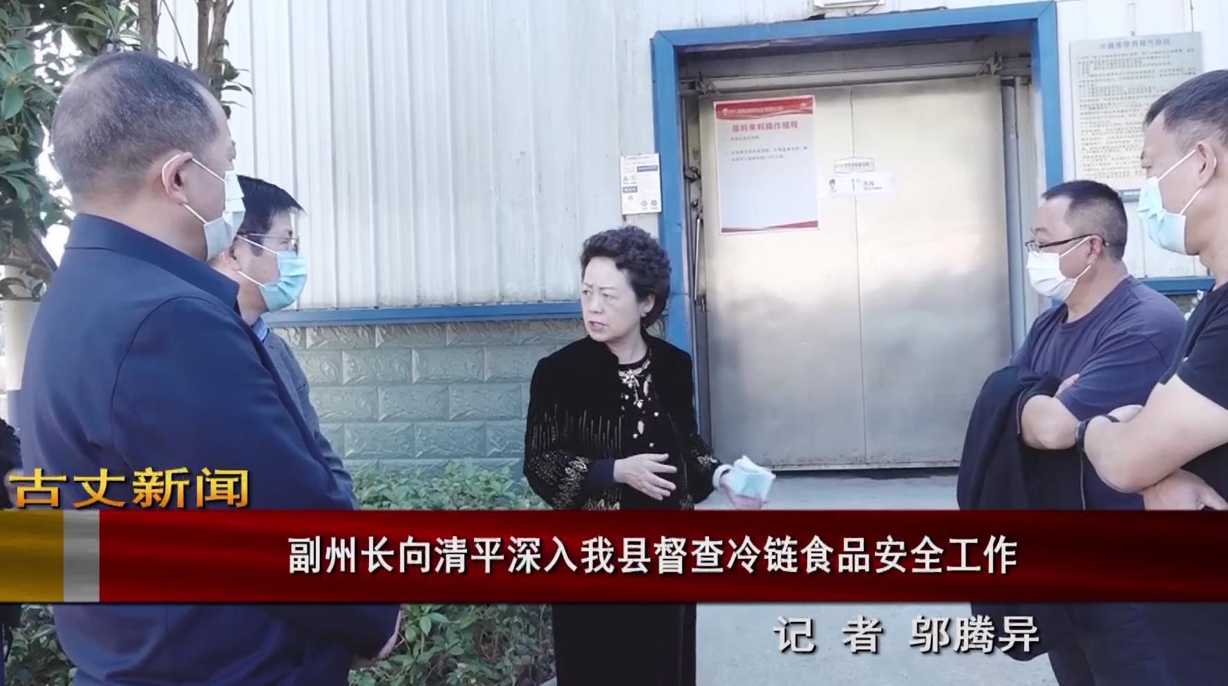 副州长向清平深入我县督查冷链食品安全工作