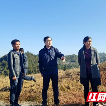 浦发银行长沙分行党委书记、行长陈凌云一行到古丈县杨家河村调研指导扶贫工作