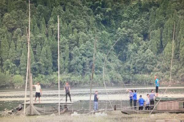 古丈县重点水域禁捕退捕工作进展顺利并取得阶段性成果