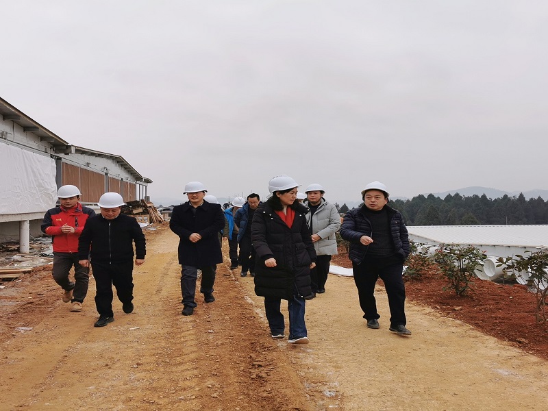 州委常委、县委书记杨彦芳调度产业发展、安全生产、疫情防控工作
